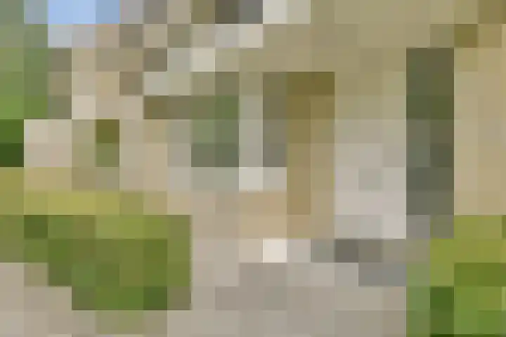 Razeil 32 Almere thumbnail 31