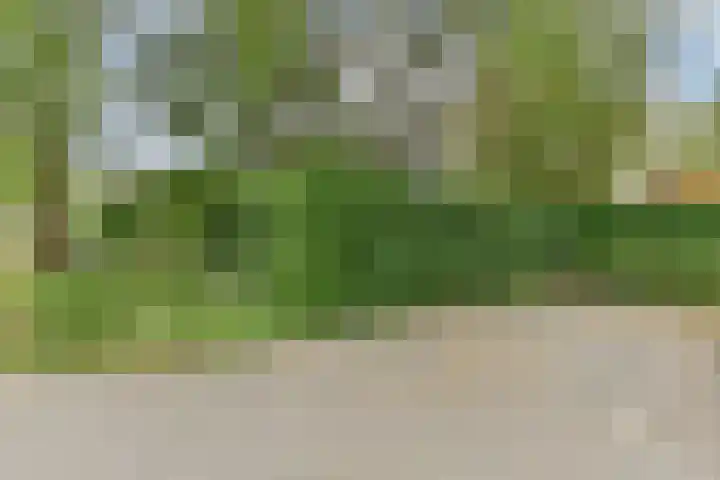 Razeil 32 Almere thumbnail 32