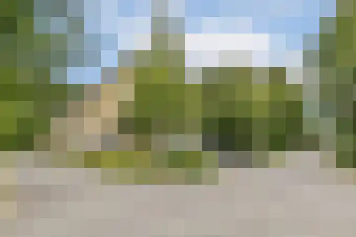 Razeil 32 Almere thumbnail 33