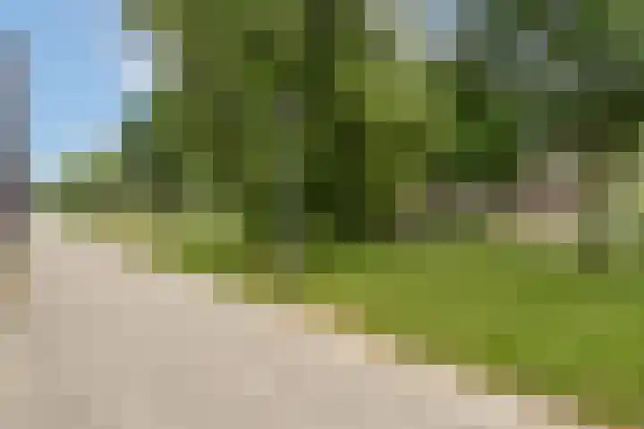 Razeil 32 Almere thumbnail 36