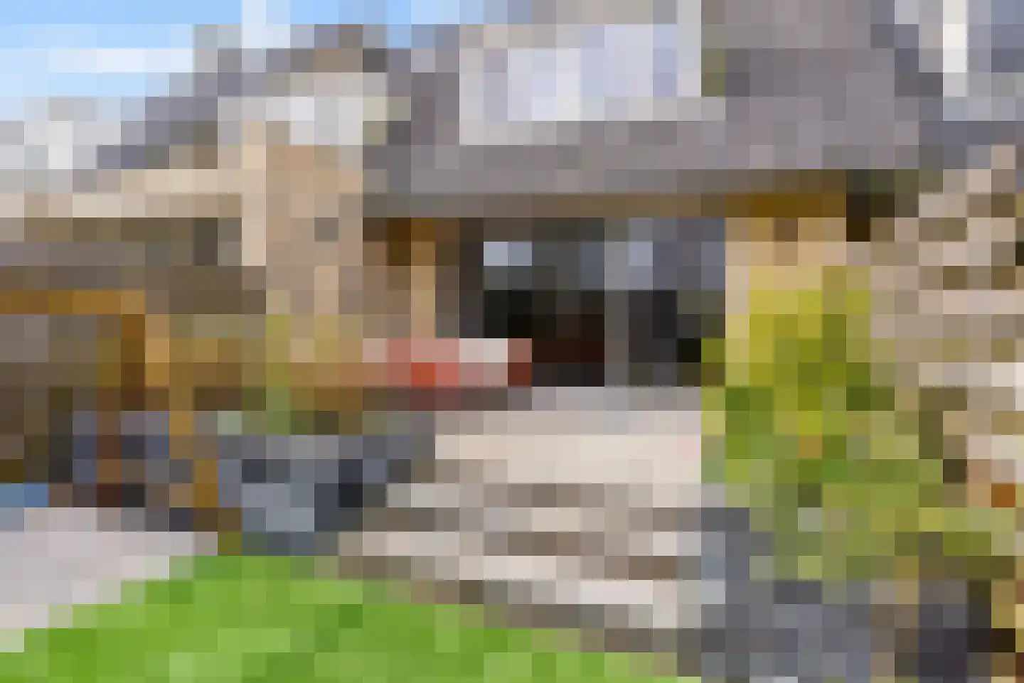Razeil 34 Almere thumbnail 34