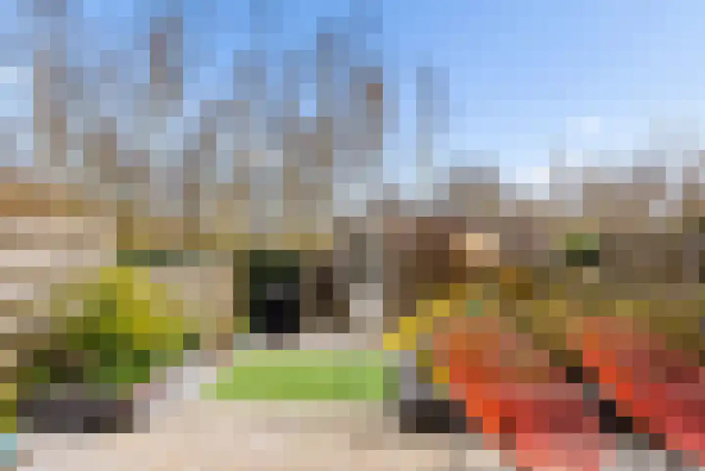 Razeil 34 Almere thumbnail 37