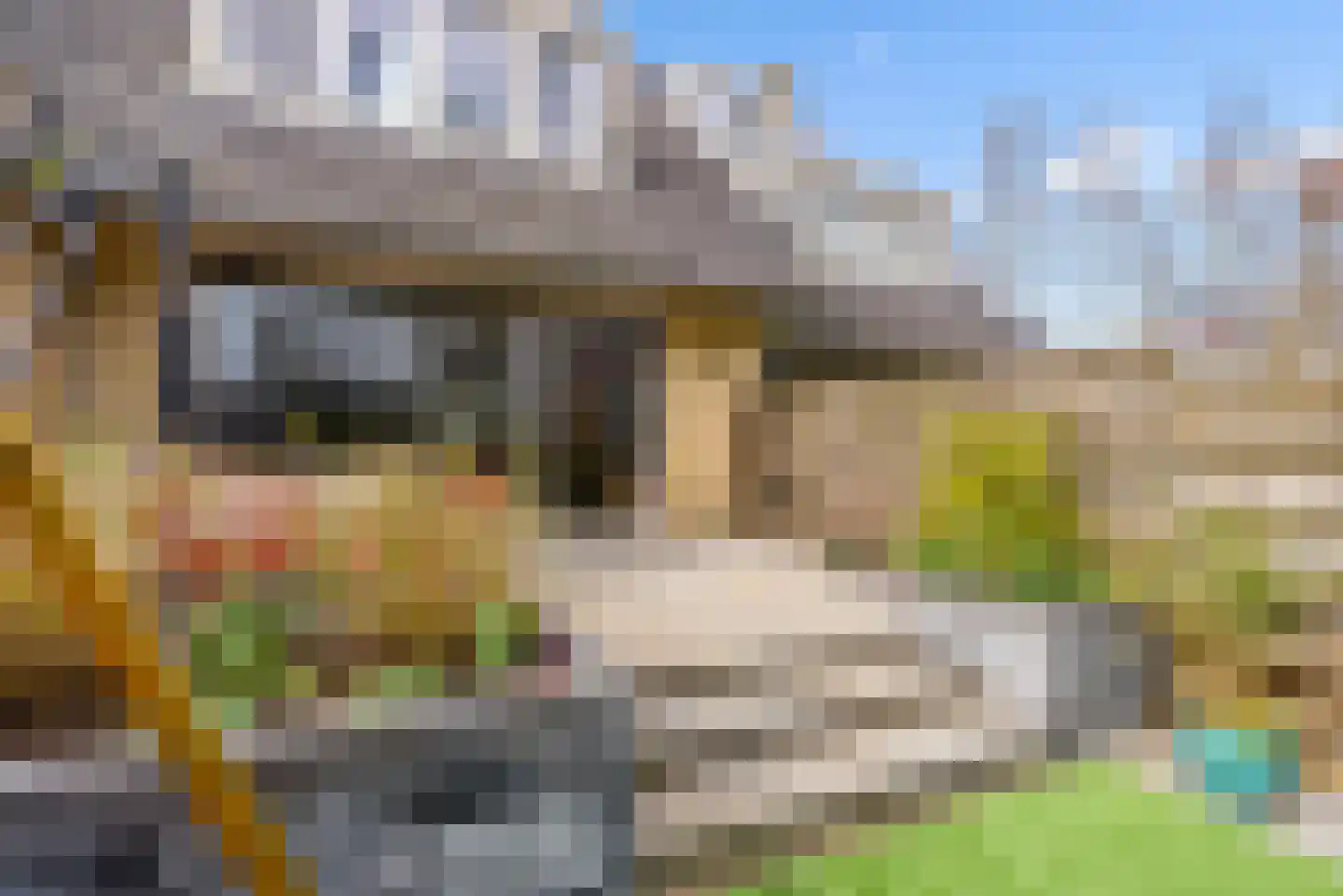 Razeil 34 Almere thumbnail 38