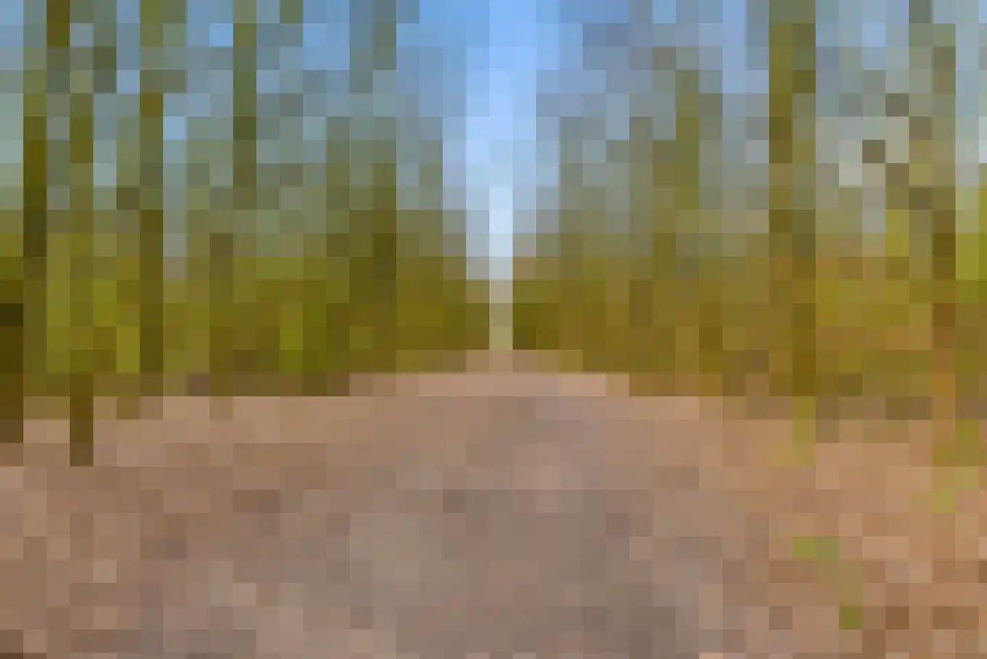 Razeil 34 Almere thumbnail 49