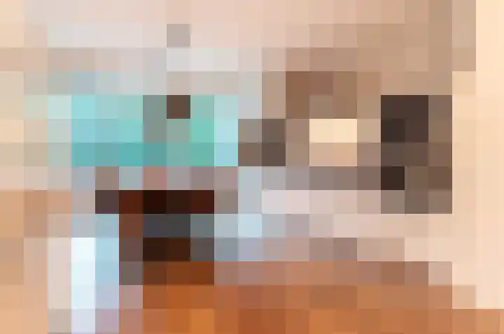 Razeil 36 Almere foto 2