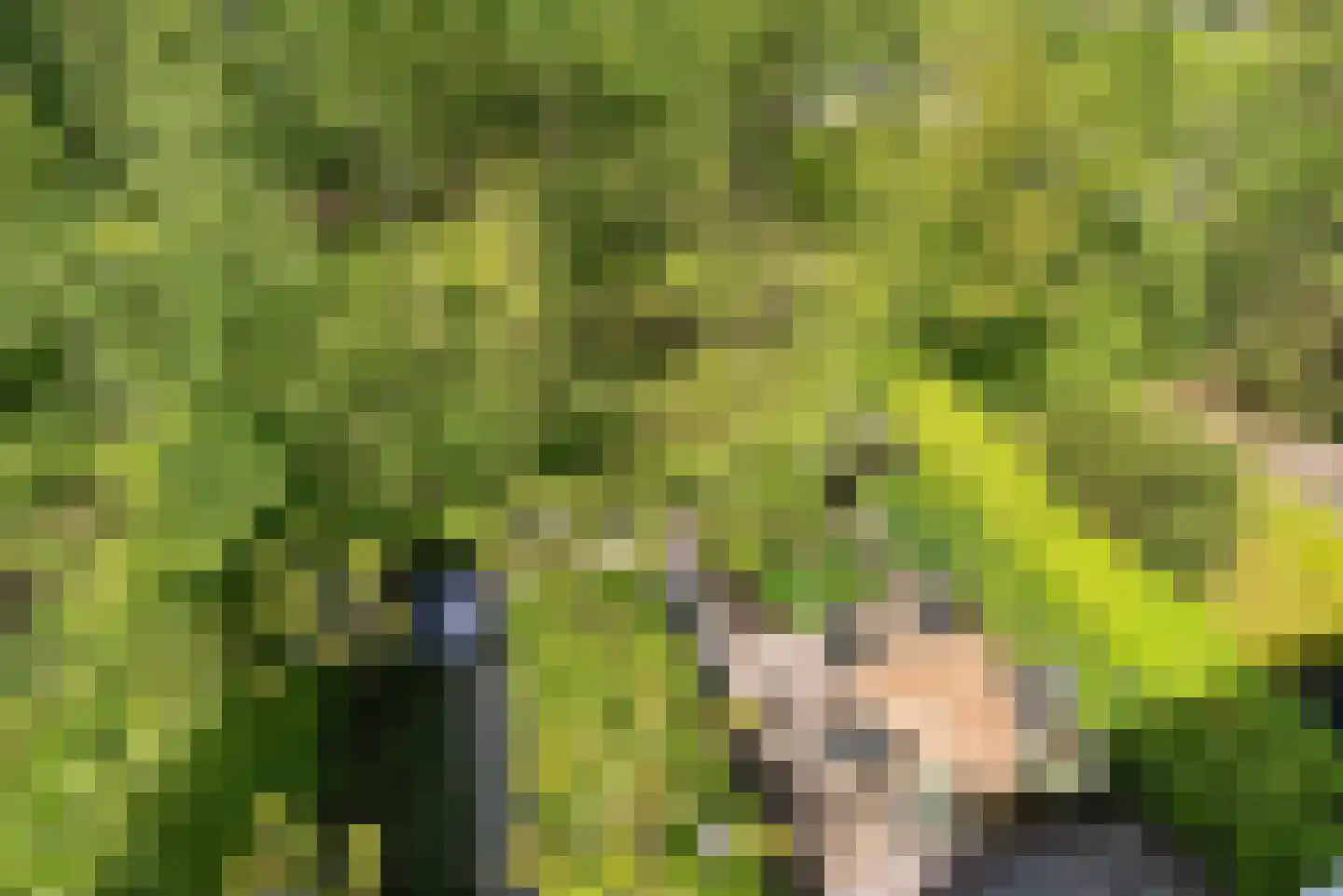 Razeil 4 Almere thumbnail 57