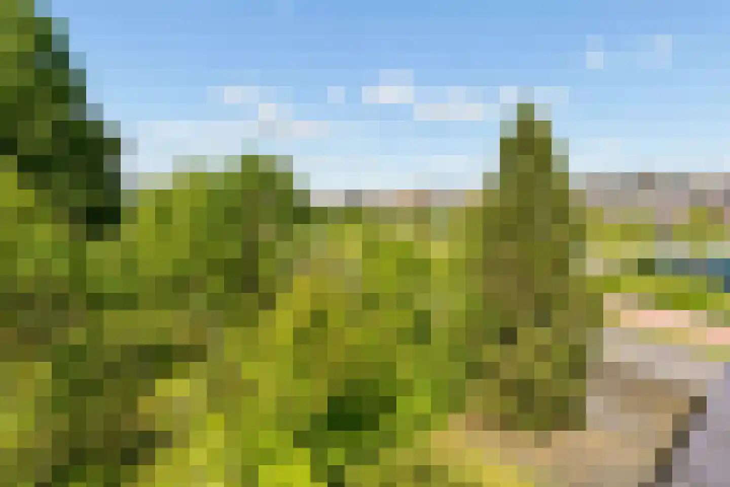 Razeil 4 Almere thumbnail 60