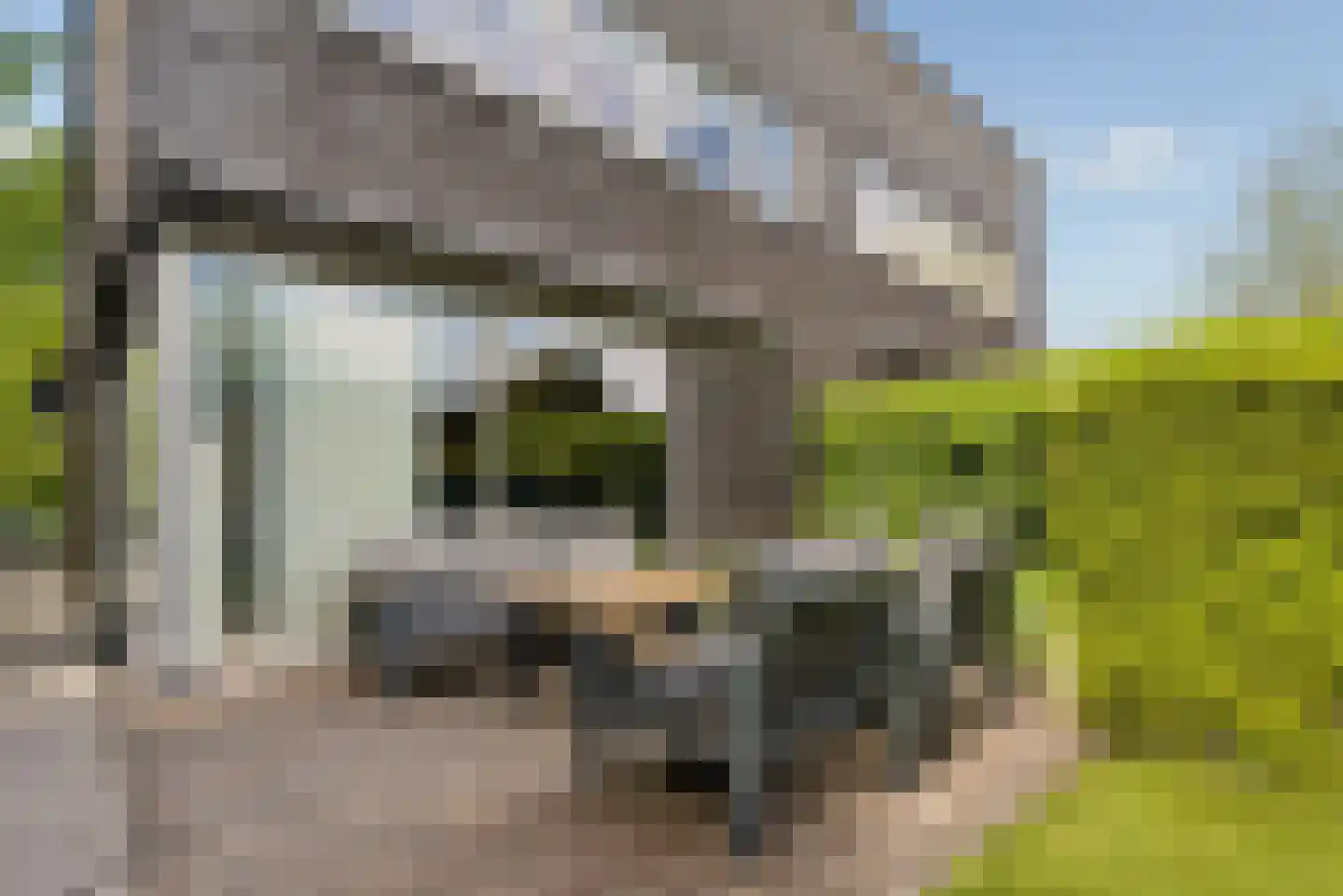 Razeil 4 Almere thumbnail 63