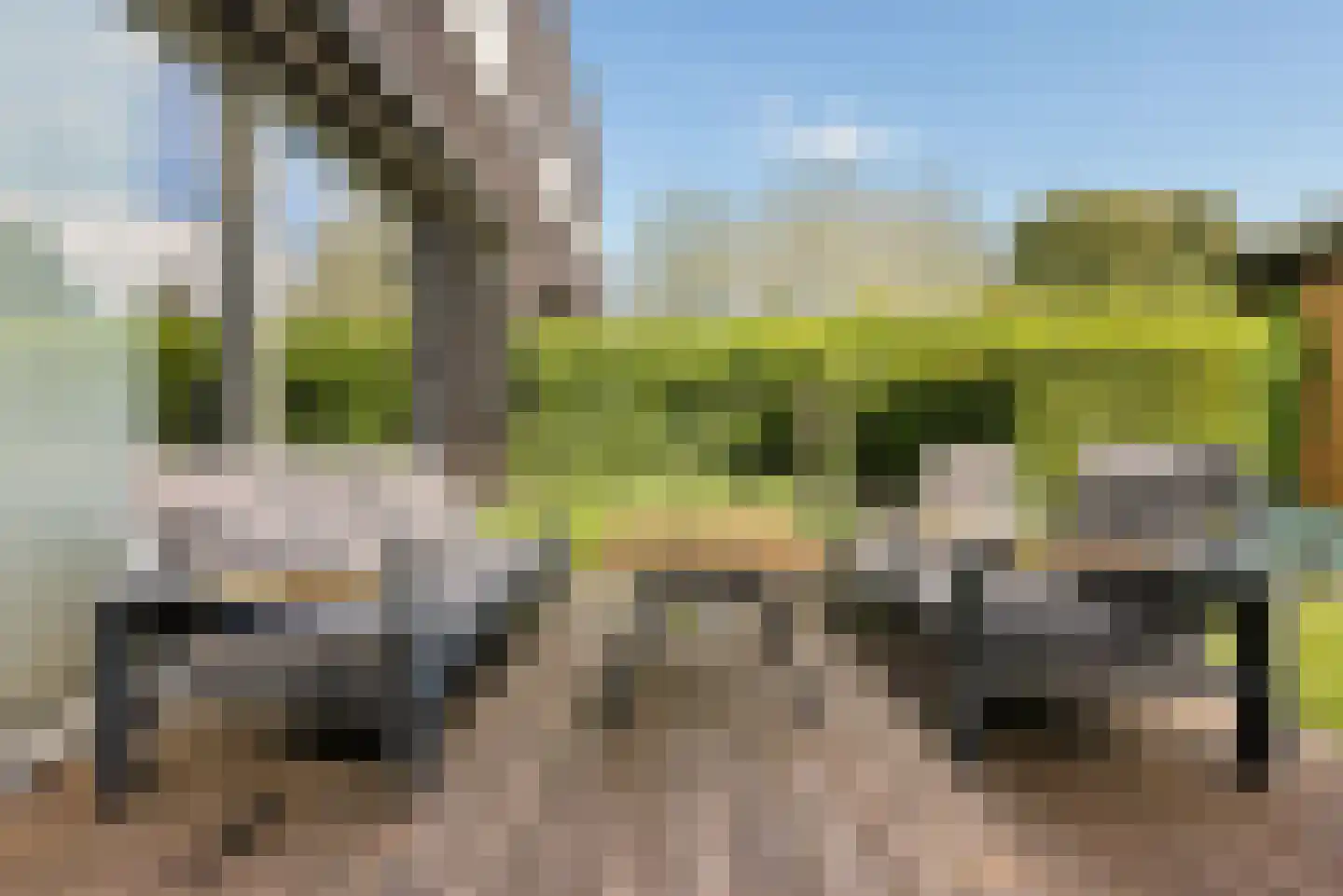 Razeil 4 Almere thumbnail 64