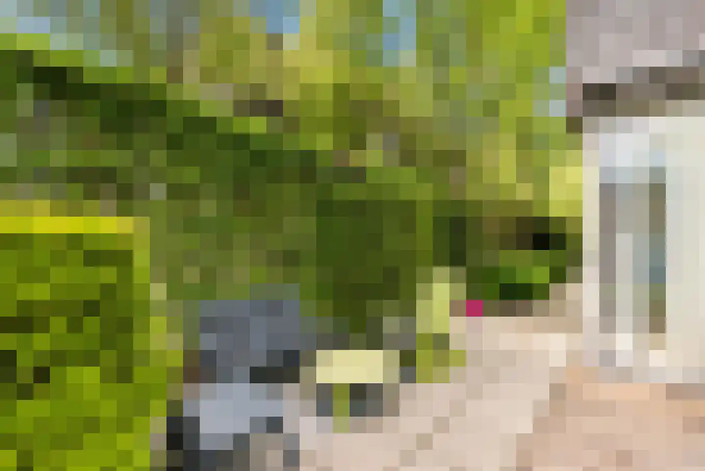 Razeil 4 Almere thumbnail 66