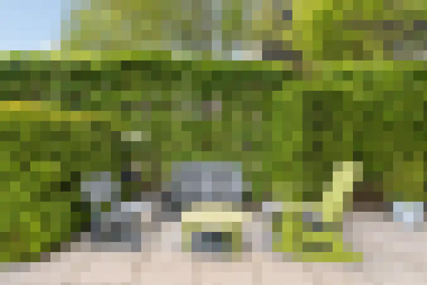 Razeil 4 Almere thumbnail 67