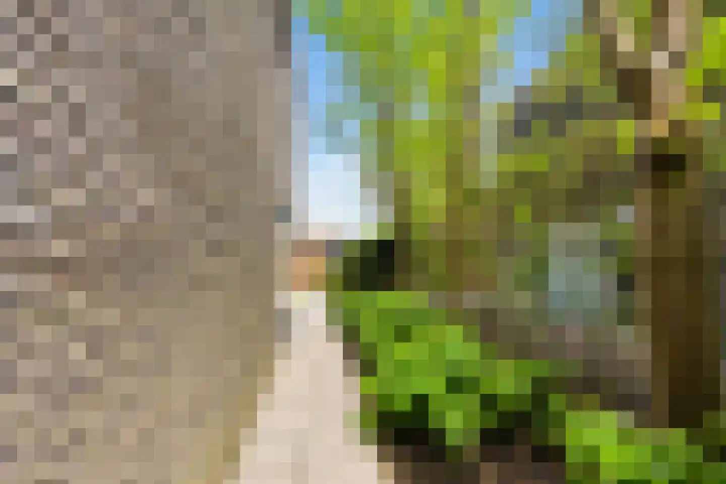 Razeil 4 Almere thumbnail 68