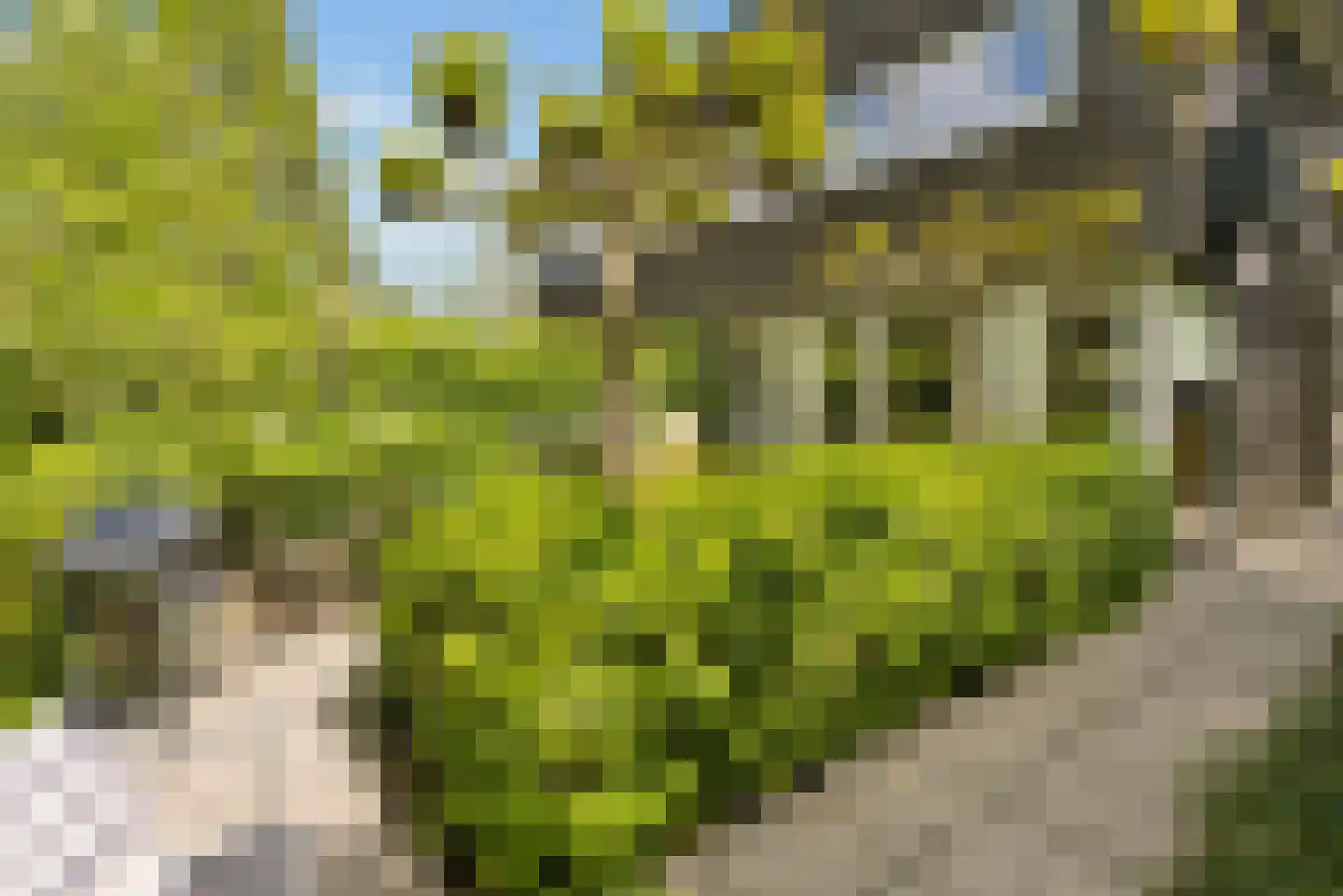Razeil 4 Almere thumbnail 70