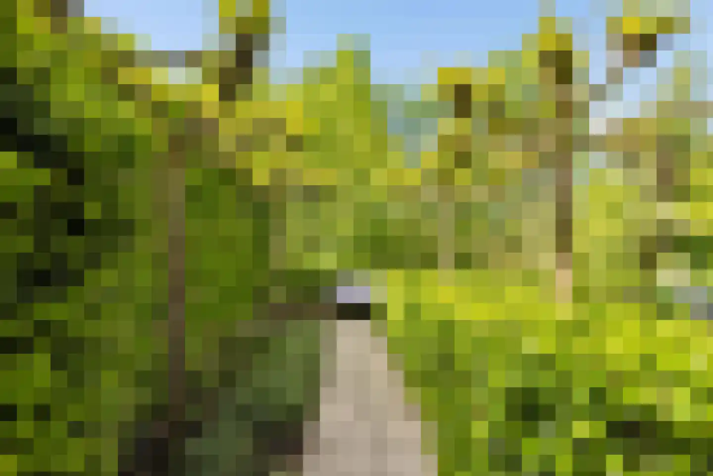 Razeil 4 Almere thumbnail 71