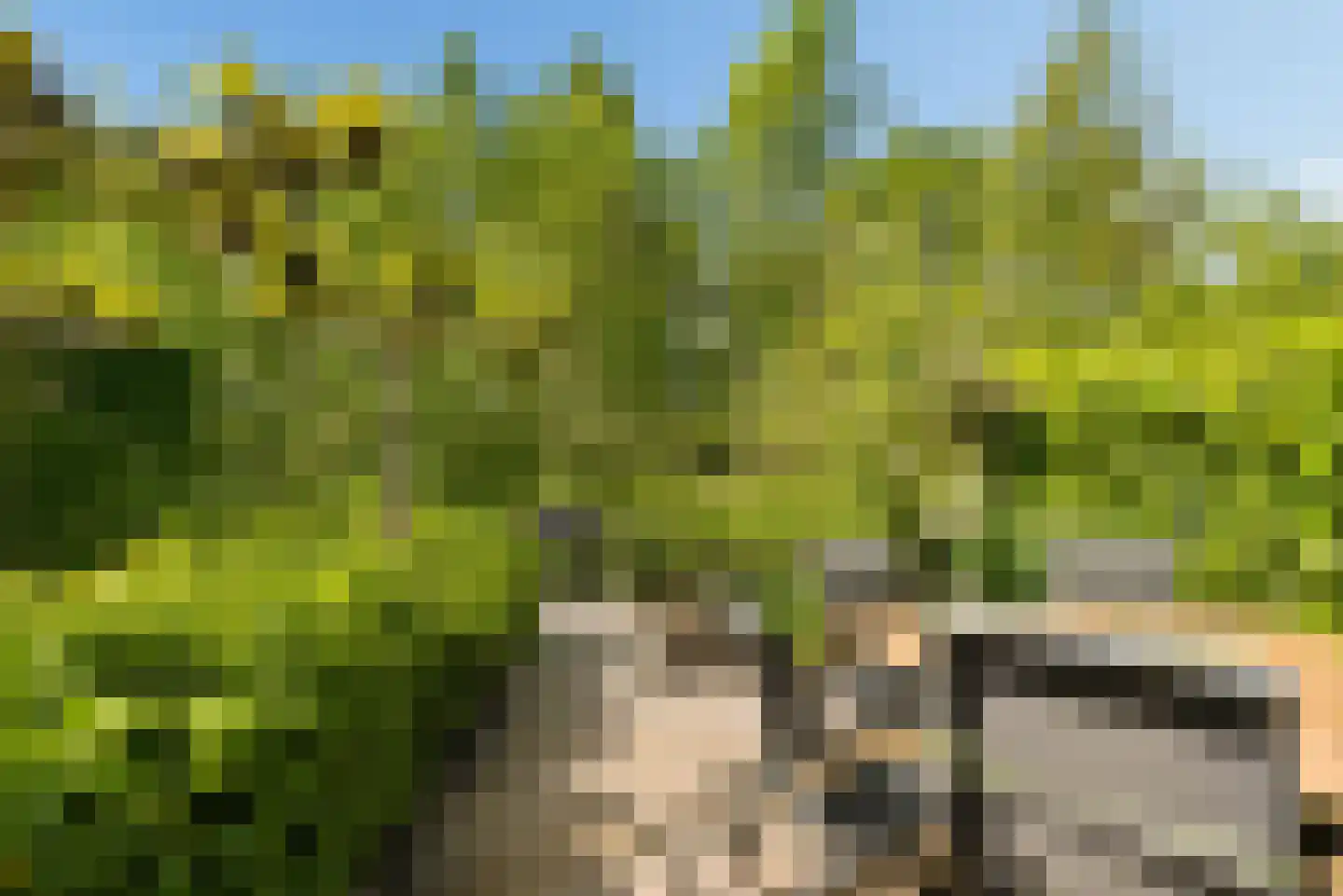 Razeil 4 Almere thumbnail 72
