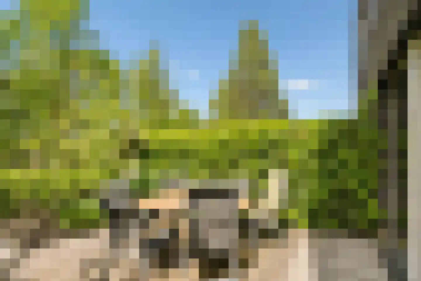 Razeil 4 Almere thumbnail 73
