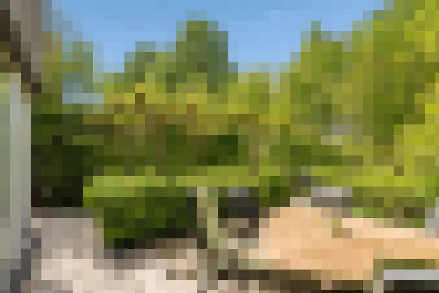 Razeil 4 Almere thumbnail 74