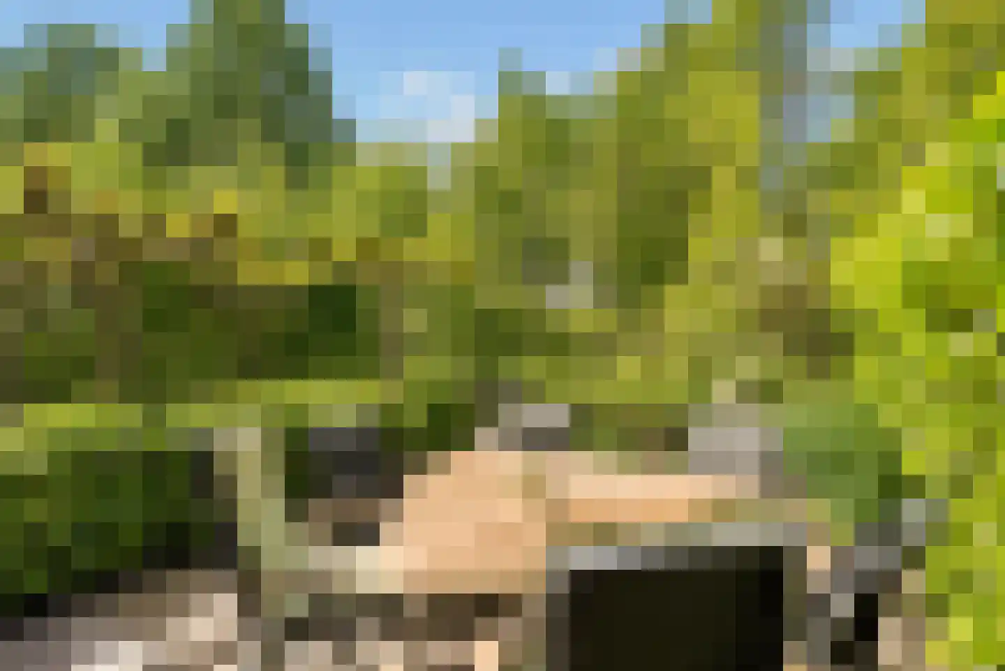 Razeil 4 Almere thumbnail 75