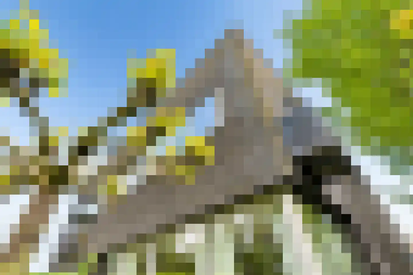 Razeil 4 Almere thumbnail 77