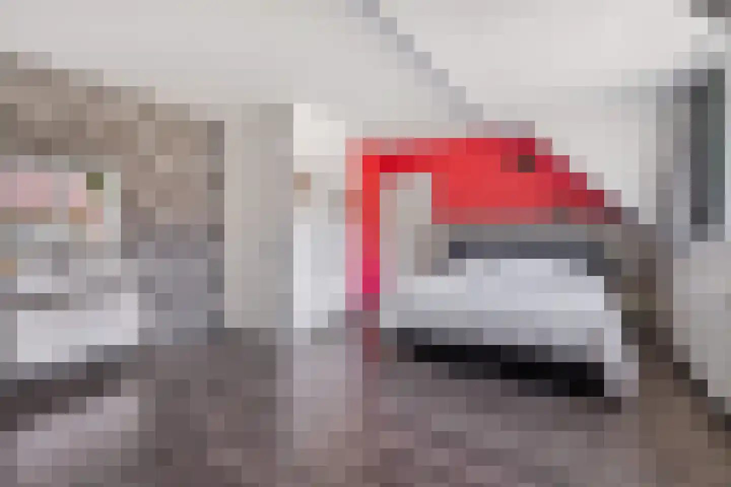 Razeil 52 Almere thumbnail 34
