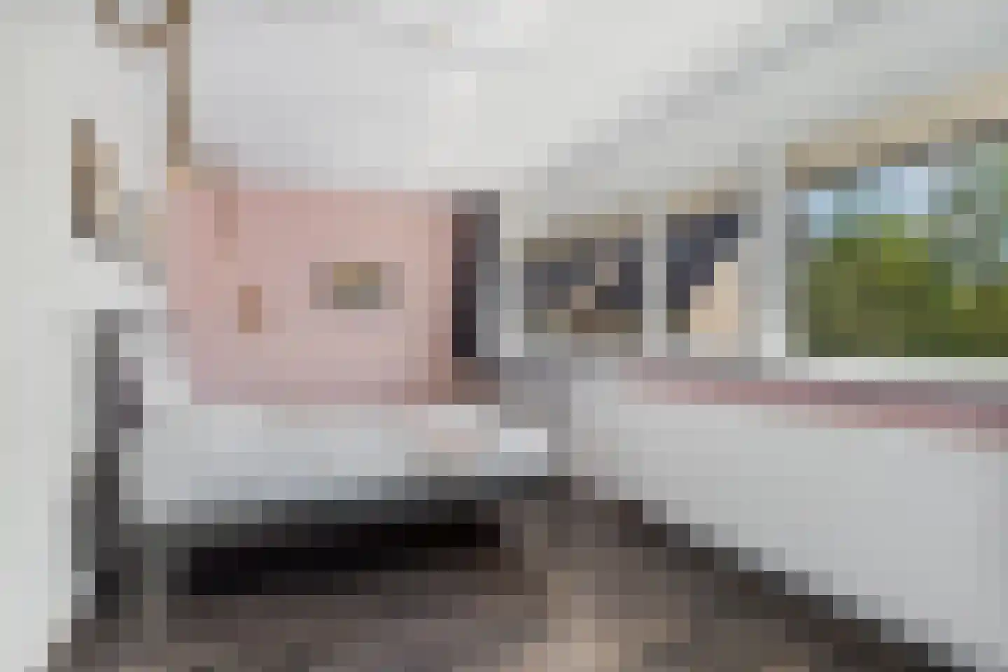 Razeil 52 Almere thumbnail 36