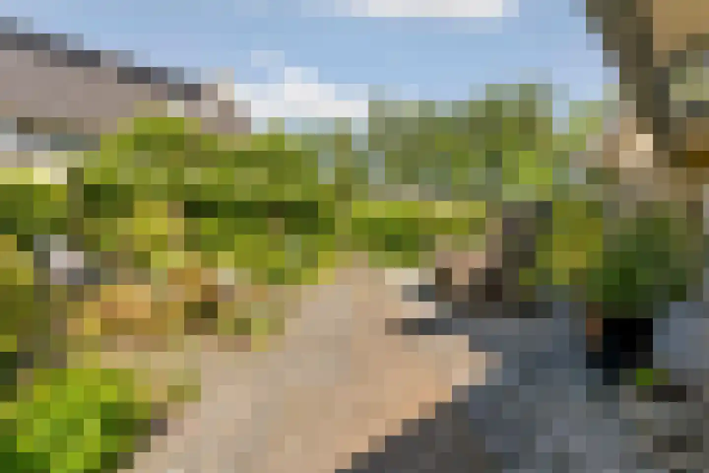 Razeil 52 Almere thumbnail 48