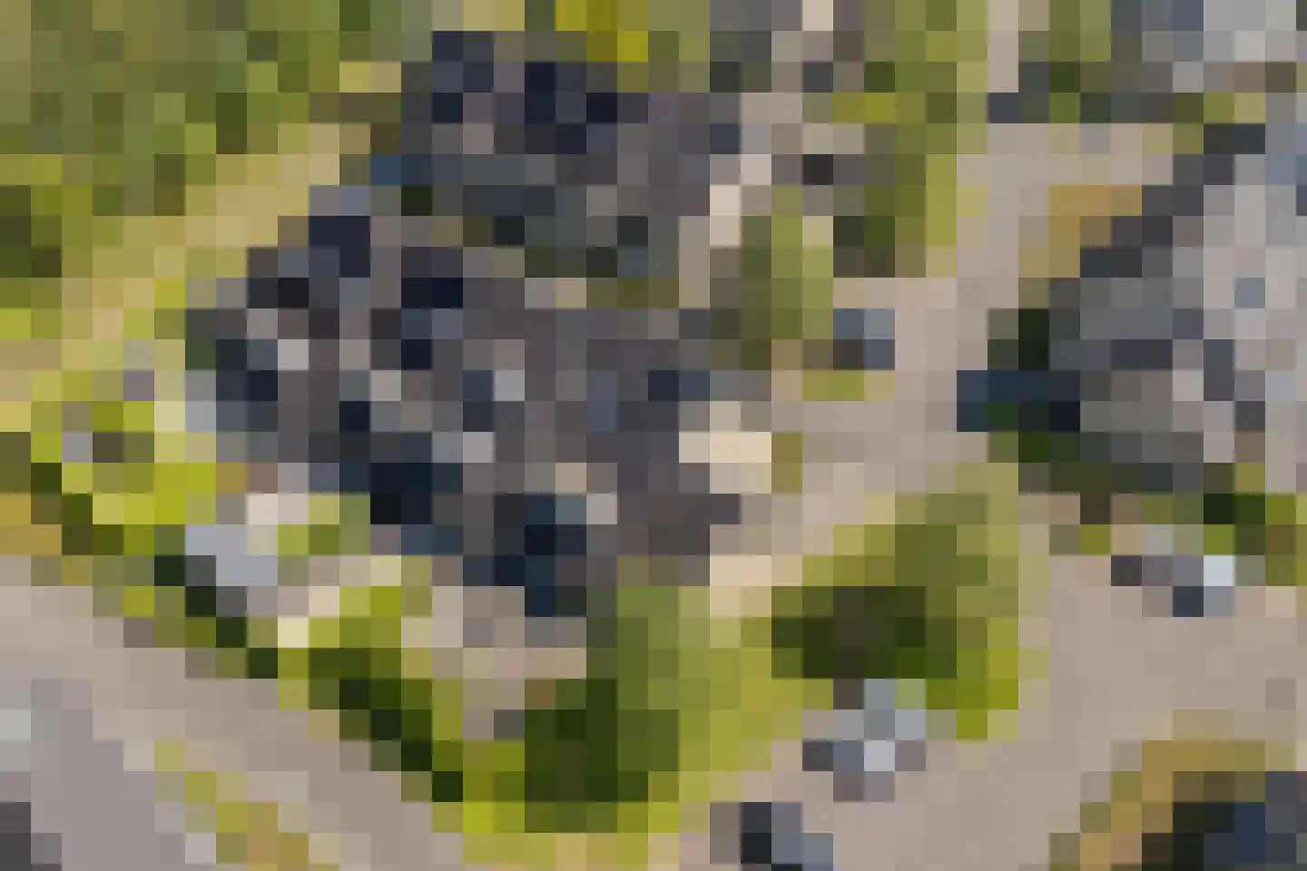 Razeil 52 Almere thumbnail 51