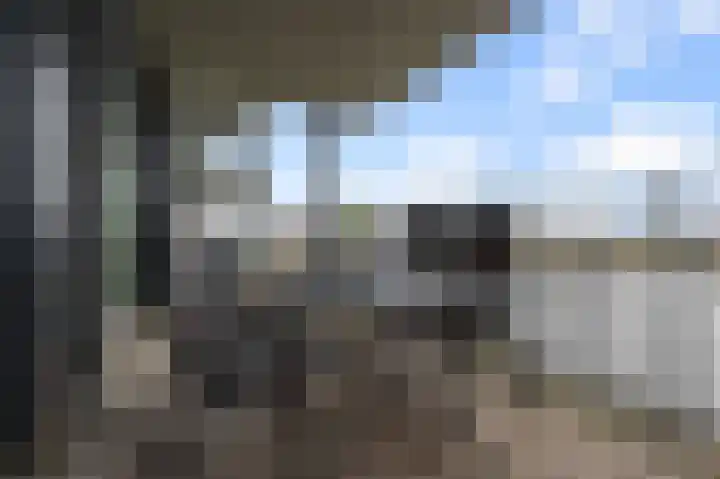Razende Bol 15 Heemskerk thumbnail 11
