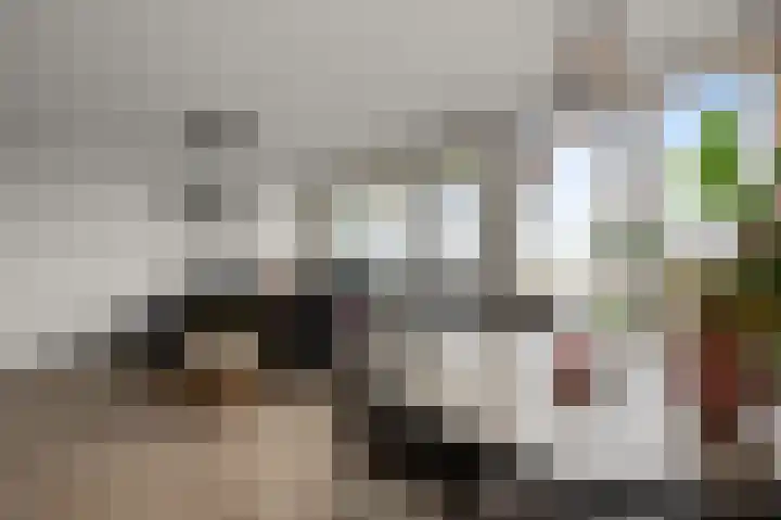 Razende Bol 15 Heemskerk thumbnail 12