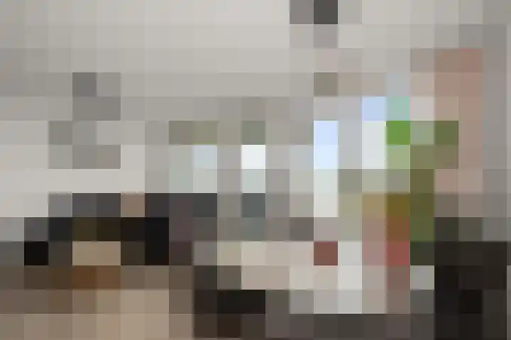 Razende Bol 15 Heemskerk thumbnail 13