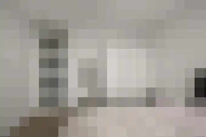 Razende Bol 15 Heemskerk thumbnail 16