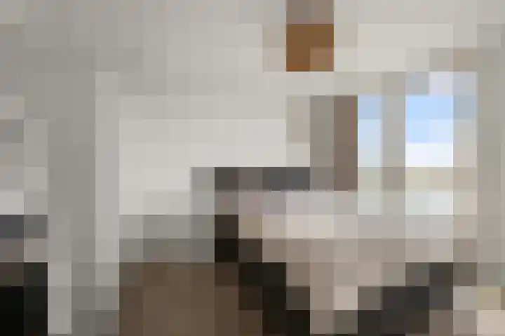 Razende Bol 15 Heemskerk thumbnail 17