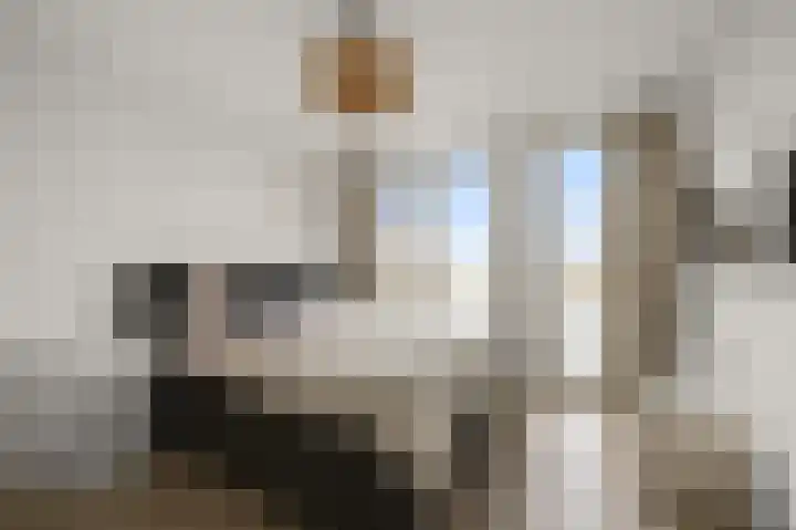 Razende Bol 15 Heemskerk thumbnail 18