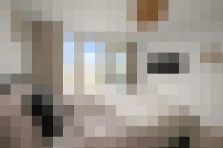 Razende Bol 15 Heemskerk thumbnail 19