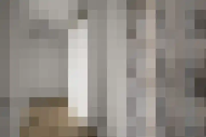 Razende Bol 15 Heemskerk thumbnail 20