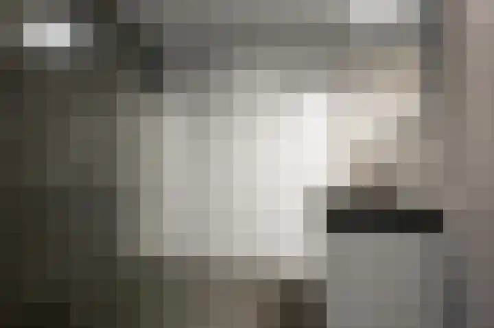 Razende Bol 15 Heemskerk thumbnail 23