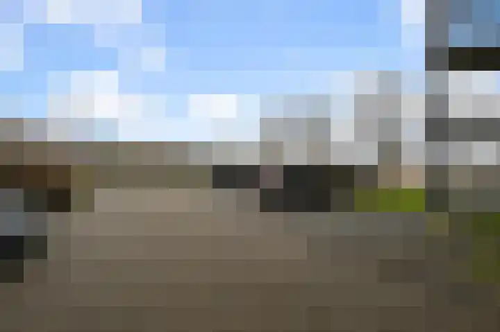 Razende Bol 15 Heemskerk thumbnail 29