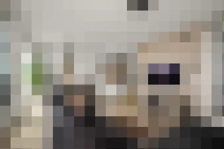 Razende Bol 15 Heemskerk thumbnail 5