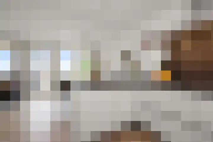 Razende Bol 15 Heemskerk thumbnail 6