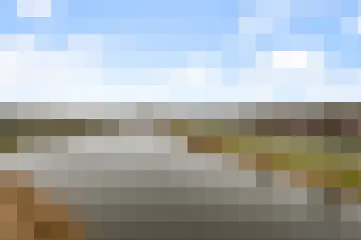 Razende Bol 15 Heemskerk thumbnail 9