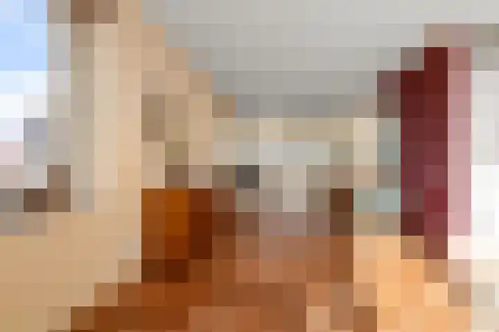 Razende Bol 25 Heemskerk thumbnail 10