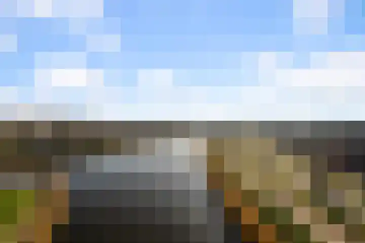 Razende Bol 25 Heemskerk thumbnail 12