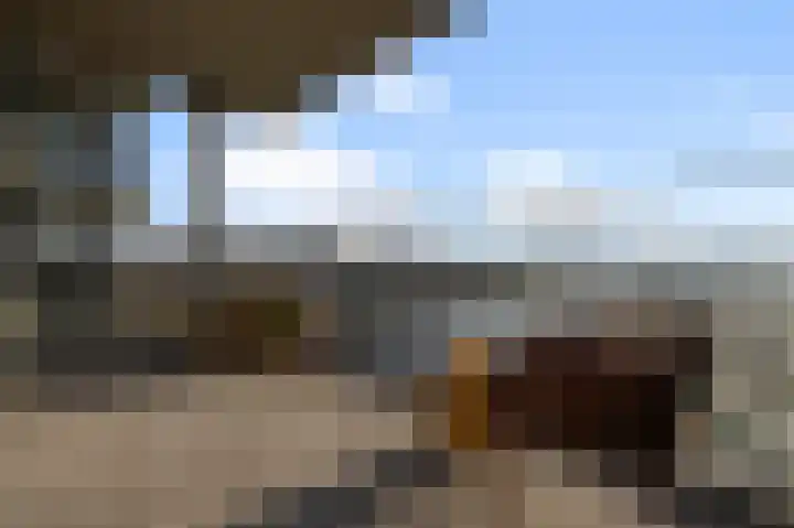 Razende Bol 25 Heemskerk thumbnail 13