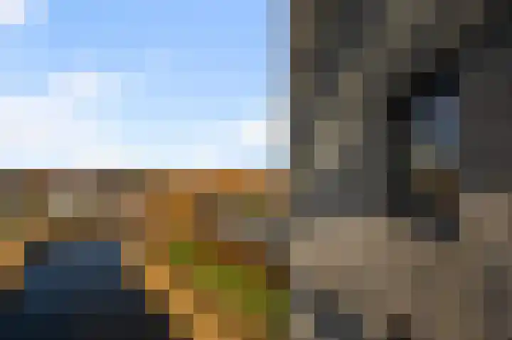 Razende Bol 25 Heemskerk thumbnail 14