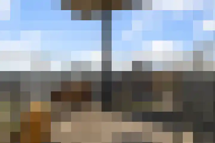 Razende Bol 25 Heemskerk thumbnail 15