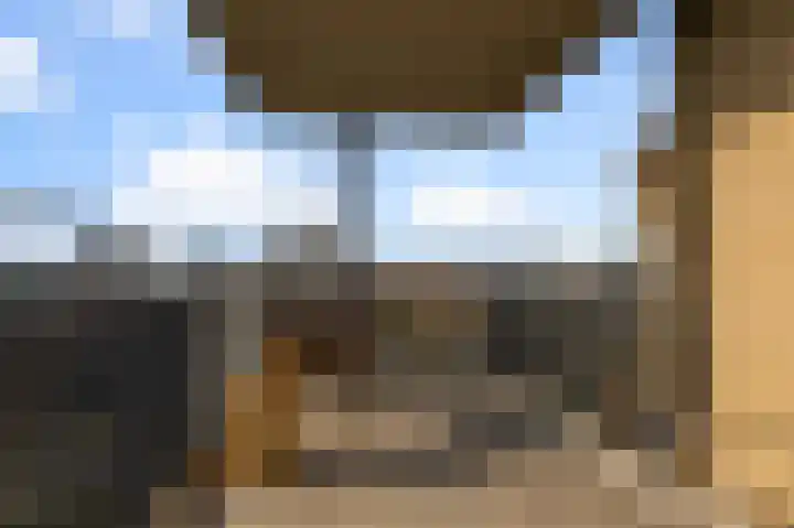 Razende Bol 25 Heemskerk thumbnail 16