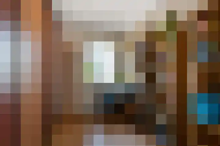 Razende Bol 25 Heemskerk thumbnail 19