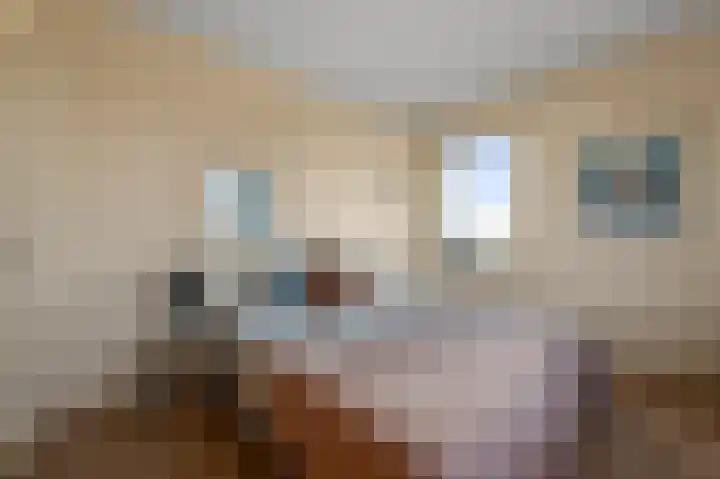 Razende Bol 25 Heemskerk thumbnail 20