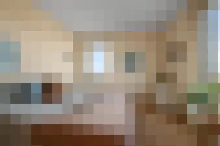 Razende Bol 25 Heemskerk thumbnail 21