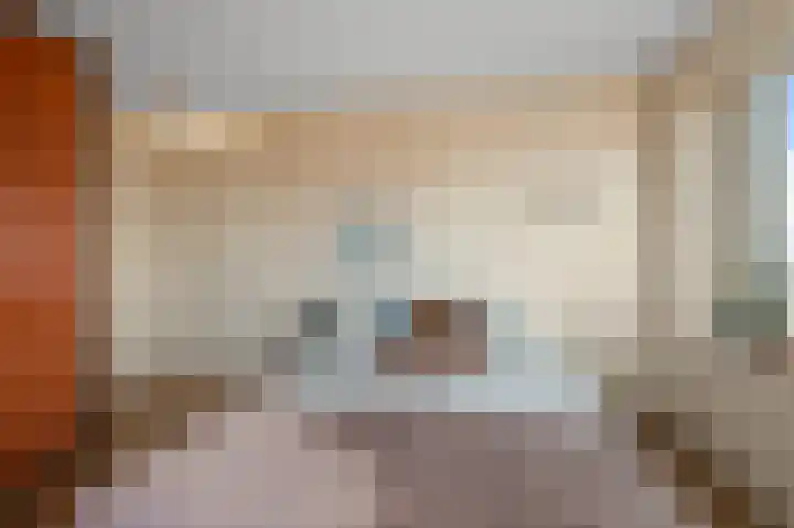 Razende Bol 25 Heemskerk thumbnail 23